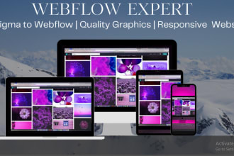 design develop webflow website figma to webflow responsive webflow website