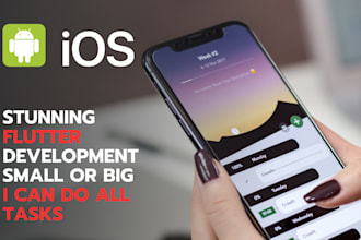 do flutter development for you