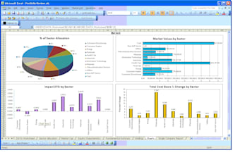 prepare excel reports for you