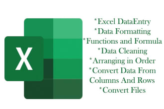 do microsoft excel spreadshet, data cleaning, convert pdf to excel and formulas