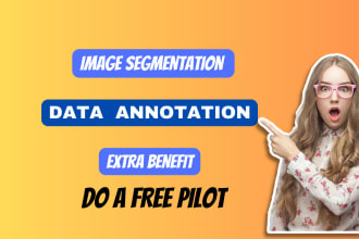 do accurate bounding box, image segmentation for data annotation project