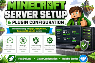 set up plugins in your minecraft server