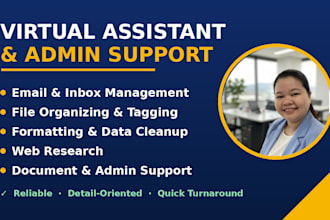 do virtual assistant, admin support and data organization tasks