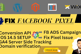 fix facebook pixel issues, conversion API, fb ads campaign