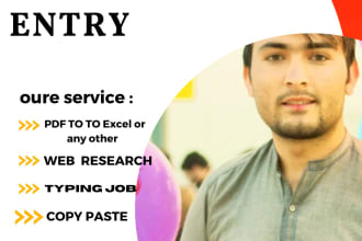 do excel data entry, convert pdf to excel, copy paste, typing and web research