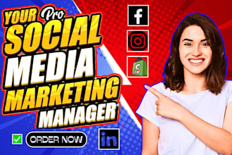 run facebook remarketing ads campaign and instagram ads