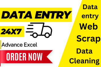 do excel data entry, data entry, PDF to excel data entry