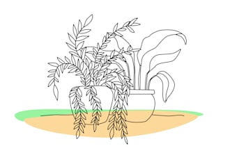 draw botanical plant and flower line art in illustrator