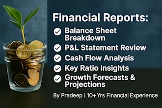 analyze your balance sheet and assess financial stability and risks