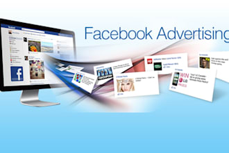 manage and optimize your facebook ads campaign