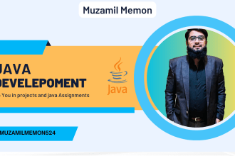 do java projects, gui,jdbc, jsp, and servlets