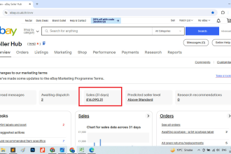 boost your sales on ebay and handle promotions