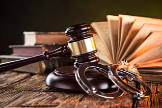 help in case briefs, case analysis, law, legal research, criminology