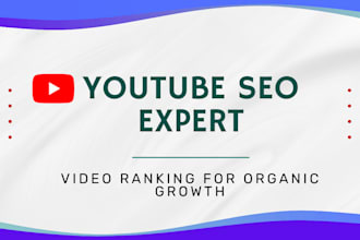 do youtube SEO for fast video ranking by tube buddy and vidiq
