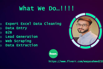 expert excel data cleaning, data entry, b2b lead generation