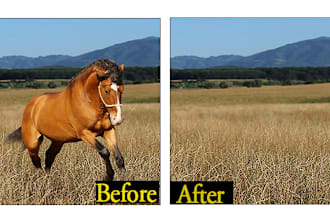 edit background, remove an object or a person from a picture with photoshop