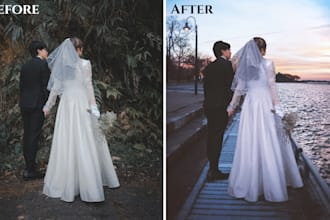 professionally remove any person or objects in your photos