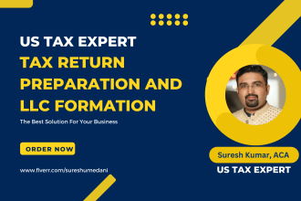 form llc and prepare US tax returns