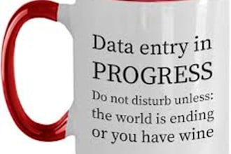 do data entry in excel spreadsheet
