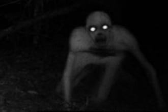 record horror, serial killer, and monstrous voice acting