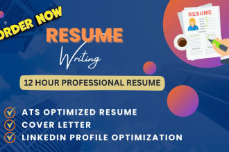 deliver 12 hours professional resume maker and tech cv writing service