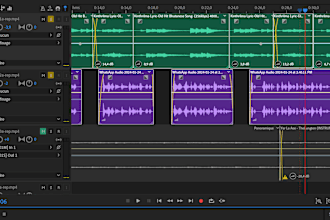 clean, edit, repair, and enhance your audio professionally