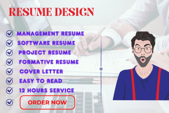 deliver management, software and project resume in 12 hours