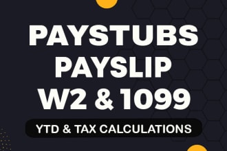 make paystub, pay stub, check stubs, payroll, w2, 1099, payslip