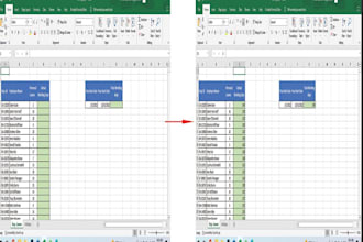do excel data cleaning, organize and compare