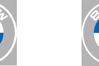 convert the image or logo into an editable file or vector file
