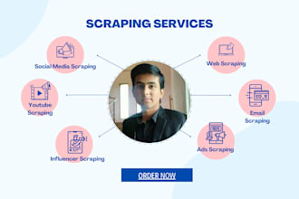 scrape any website with python