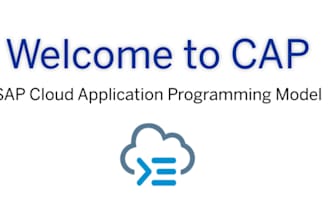 develop applications on sap btp using cap