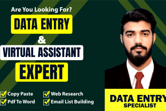do fast manuel data entry typing work, copy paste work as a virtual assistant
