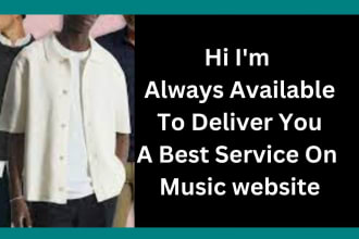 create website or landing page for music artist,video artist, dj and brands