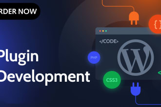 develop custom plugins and widget as your need in wordpress