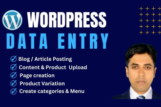 do professional wordpress data entry and content upload