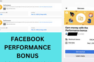 consult about facebook performance bonus issues