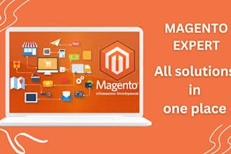 setup, install, develop, design, customize, and upgrade magento