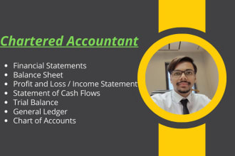 financial statements, balance sheet, profit and loss income statement cash flows