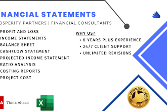 design excel template for profit and loss and balance sheet
