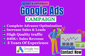 expertly audit and manage google ads  adwords PPC campaigns