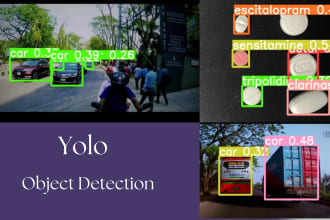 do yolo object detection, object segmentation and object tracking project