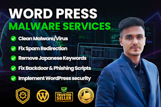 provide fast and secure wordpress malware removal services