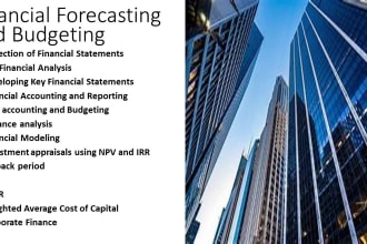 do financial forecasting and business modeling