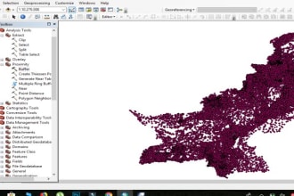do maping,referencing,gis task or project you need on arcgis