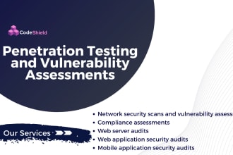 do penetration testing and vulnerability scanning audits