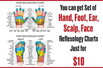 do professional medical diagram vector tracing and illustration