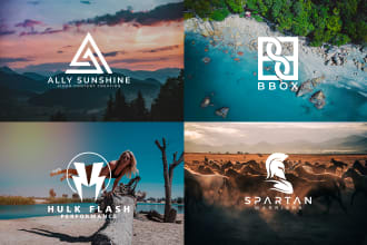 create modern minimalist and luxury business logo design