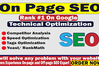 do technical and indepth wordpress onpage seo optimization