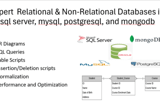 provide database management for sql server, mysql, oracle, mongodb, erd, query